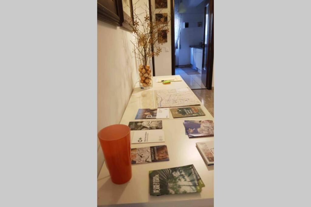 Appartamento Al Bo Padoue Extérieur photo